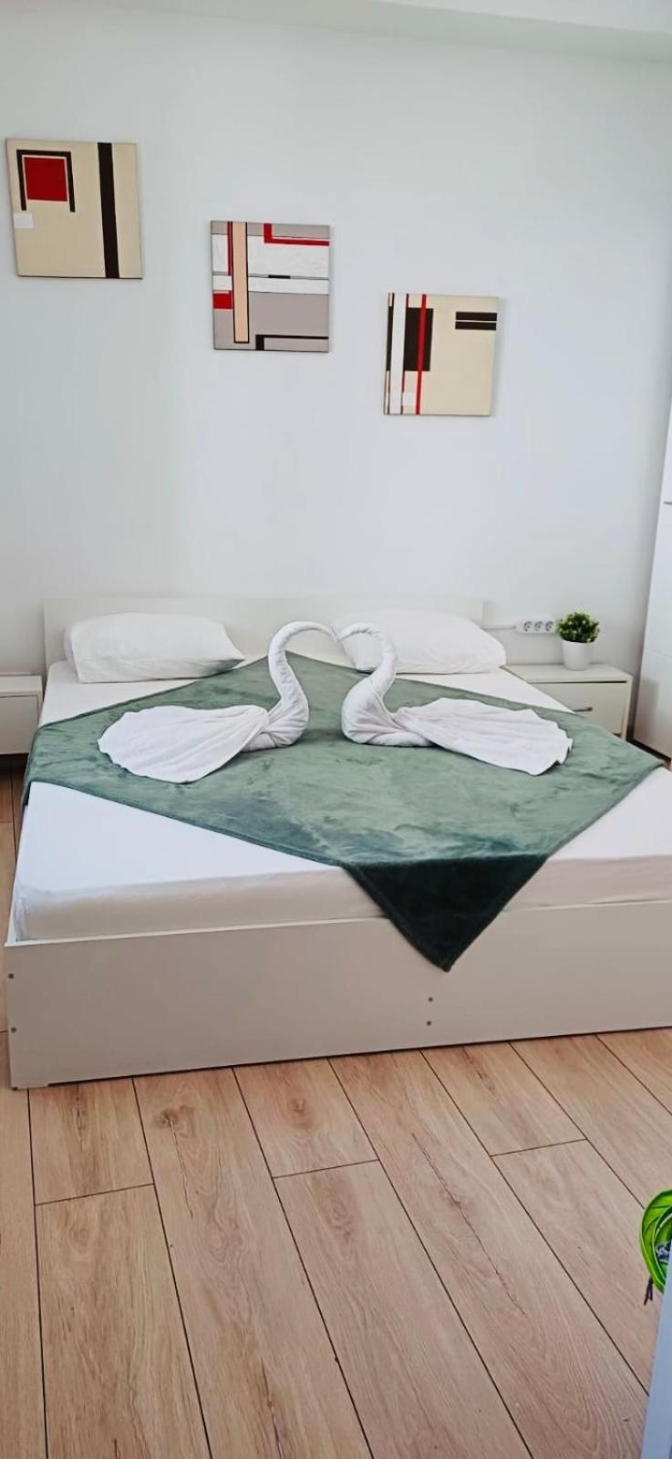 Auberge de jeunesse Cazan House *